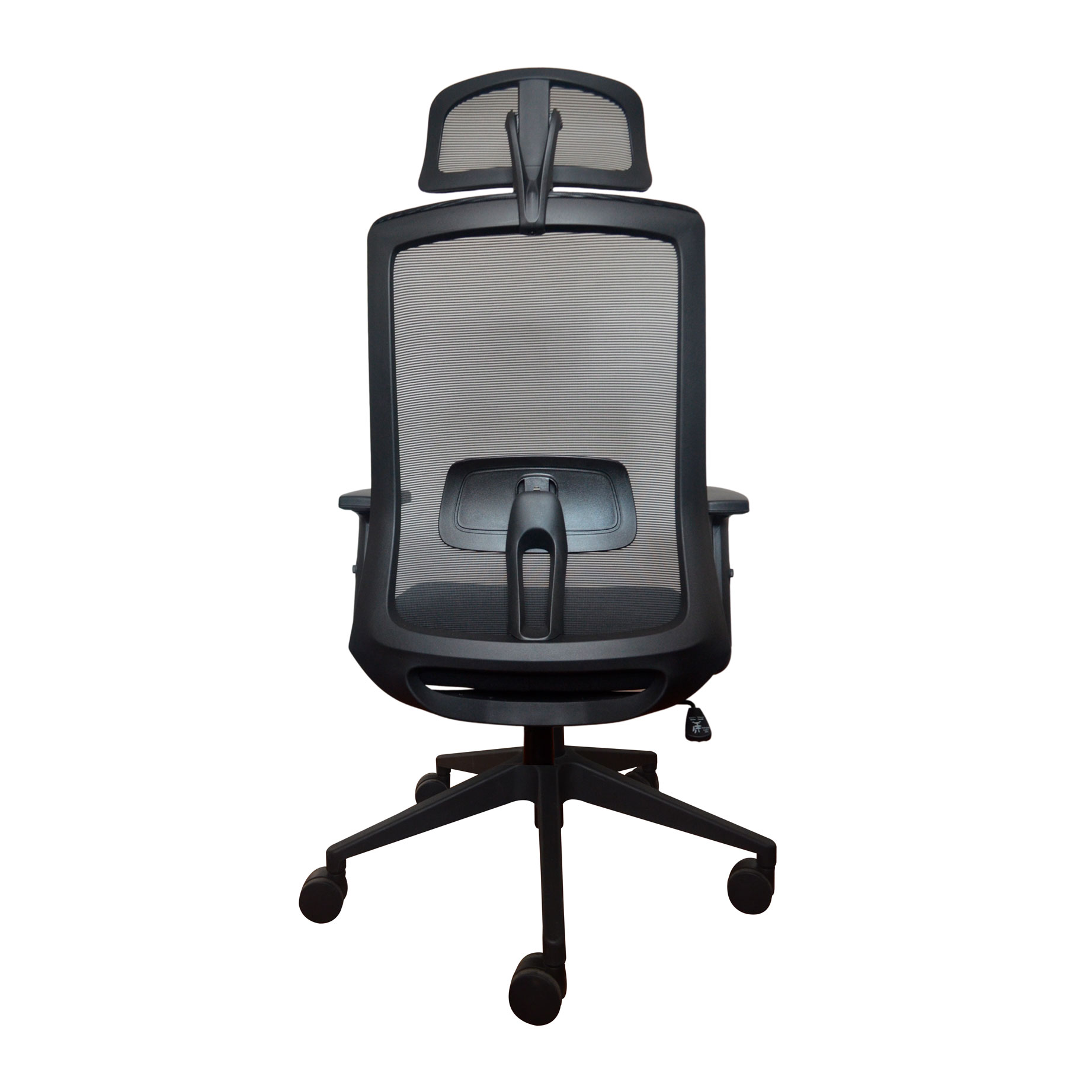 MERRY APOYO LUMBAR REG - Imagen 4